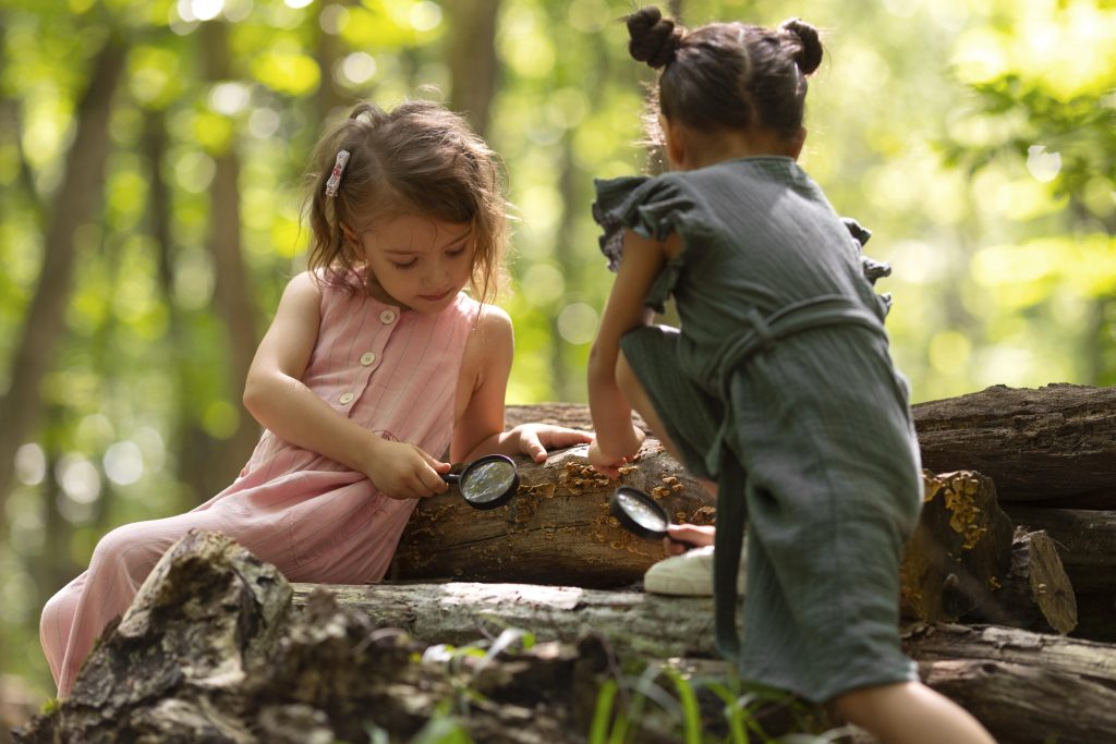 sharasa sensory cognitive growth scaled