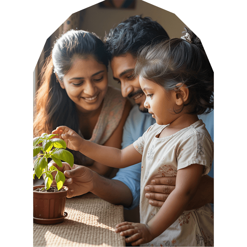 sharasa-banner-image