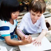 program level6 scaled